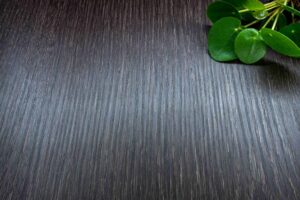 Mostra Dark Wood