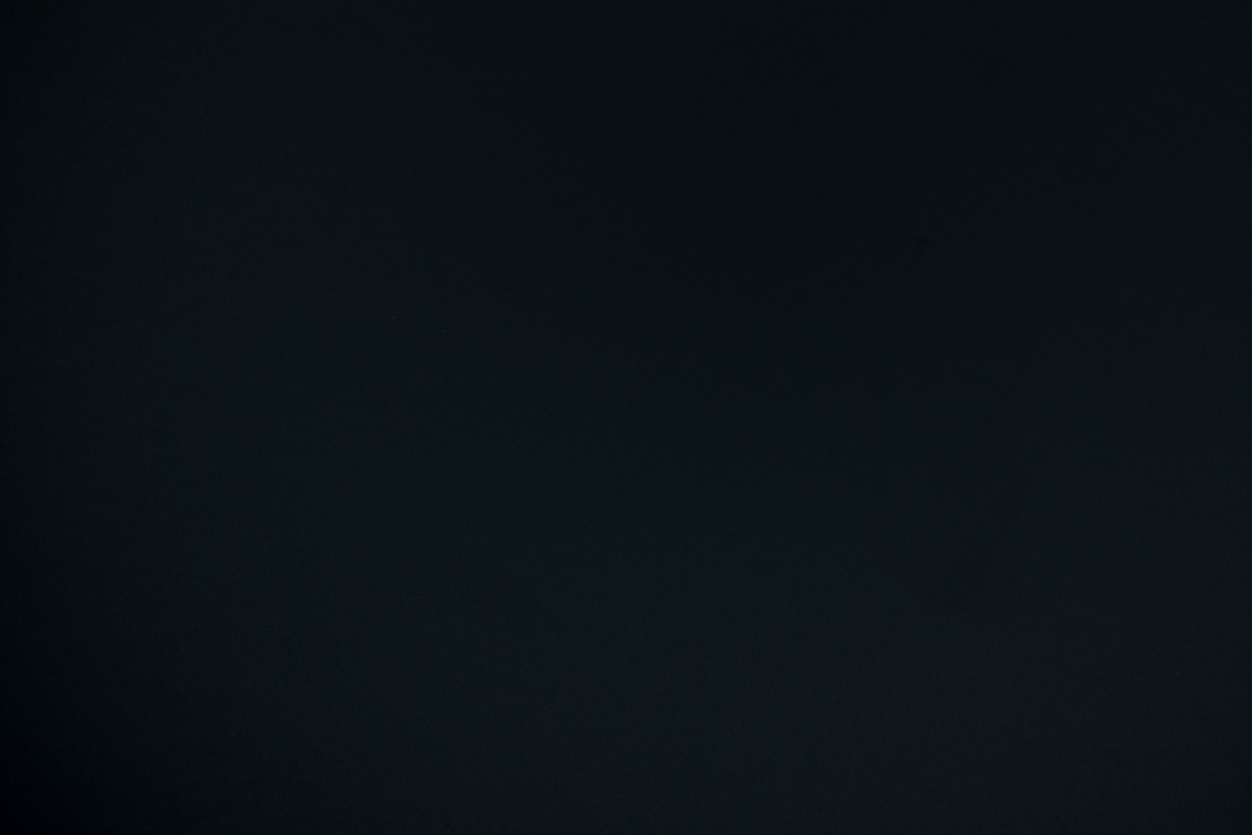 NE81-1.jpg